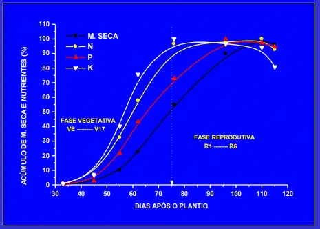 O gráfico ilustra a dinâmica do acúmulo percentual de matéria seca (M. Seca) e dos macronutrientes Nitrogênio (N), Fósforo (P