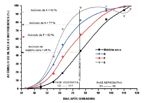 O gráfico ilustra a dinâmica do acúmulo de matéria seca e dos macronutrientes primários — Nitrogênio (N), Fósforo (P) e Potás