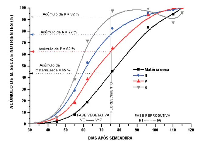 Curva de Absorção de Nutrientes: Quando Adubar a Lavoura? O gráfico ilustra a dinâmica do acúmulo de matéria seca e dos macronutrientes primários — Nitrogênio (N), Fósforo (P) e Potás