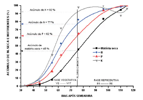 O gráfico ilustra a dinâmica do acúmulo de matéria seca e dos macronutrientes primários — Nitrogênio (N), Fósforo (P) e Potás