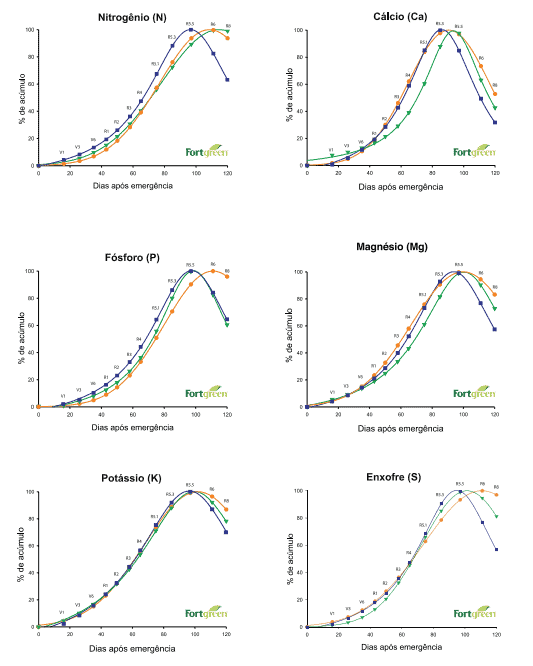 conjunto de seis gráficos de linha que ilustram a marcha de acúmulo de macronutrientes essenciais em uma cu