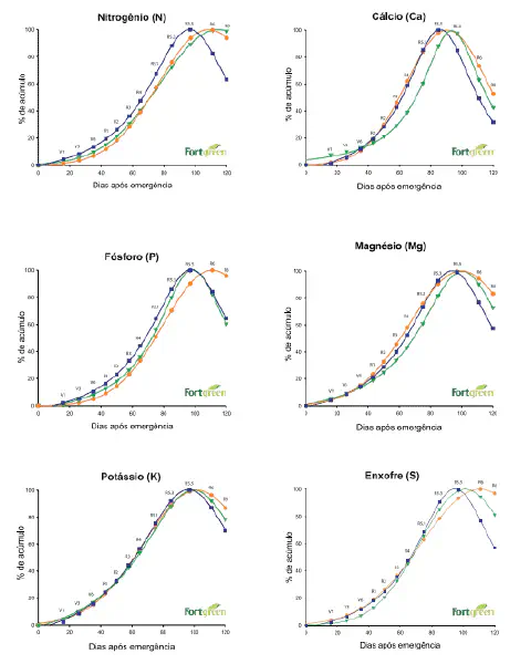 conjunto de seis gráficos de linha que ilustram a marcha de acúmulo de macronutrientes essenciais em uma cu