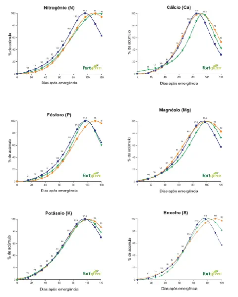conjunto de seis gráficos de linha que ilustram a marcha de acúmulo de macronutrientes essenciais em uma cu