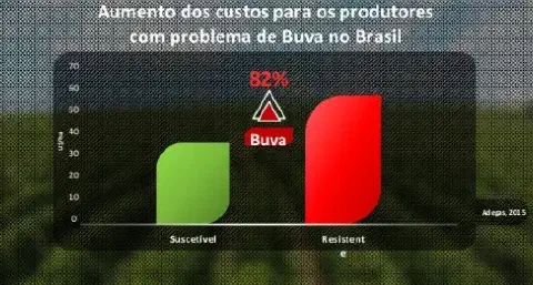 gráfico de barras que compara o aumento dos custos de produção agrícola em dólares por hectare (US$/ha)