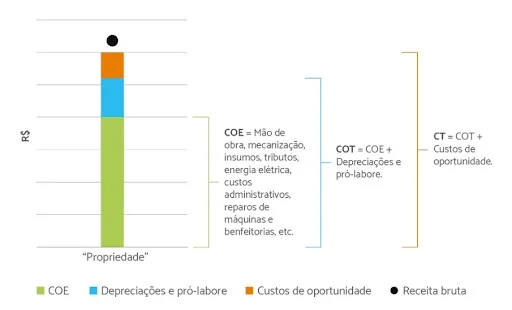 Custo de Produção Agrícola: Entenda COE, COT e CT infográfico que detalha a composição dos custos de uma propriedade rural, contrastando-os com a receita