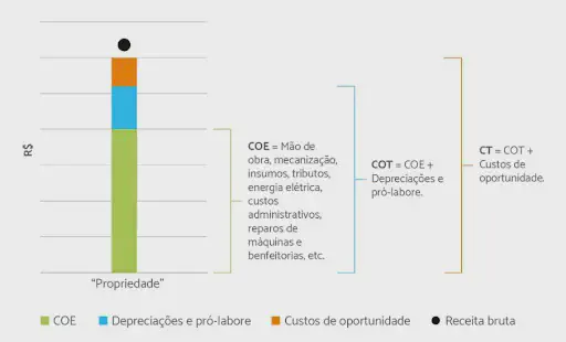 Custo de Produção Agrícola: Entenda COE, COT e CT infográfico que detalha a composição dos custos de uma propriedade rural, contrastando-os com a receita