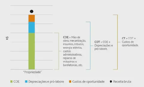 infográfico que detalha a composição dos custos de uma propriedade rural, contrastando-os com a receita