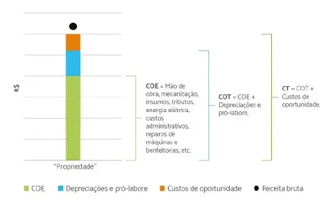 infográfico que detalha a composição dos custos de uma propriedade rural, contrastando-os com a receita