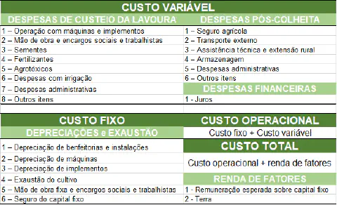 Tela do software Aegro mostrando relatório detalhado de custos de produção agrícola com categorização de custos fixos e variáveis por hectare