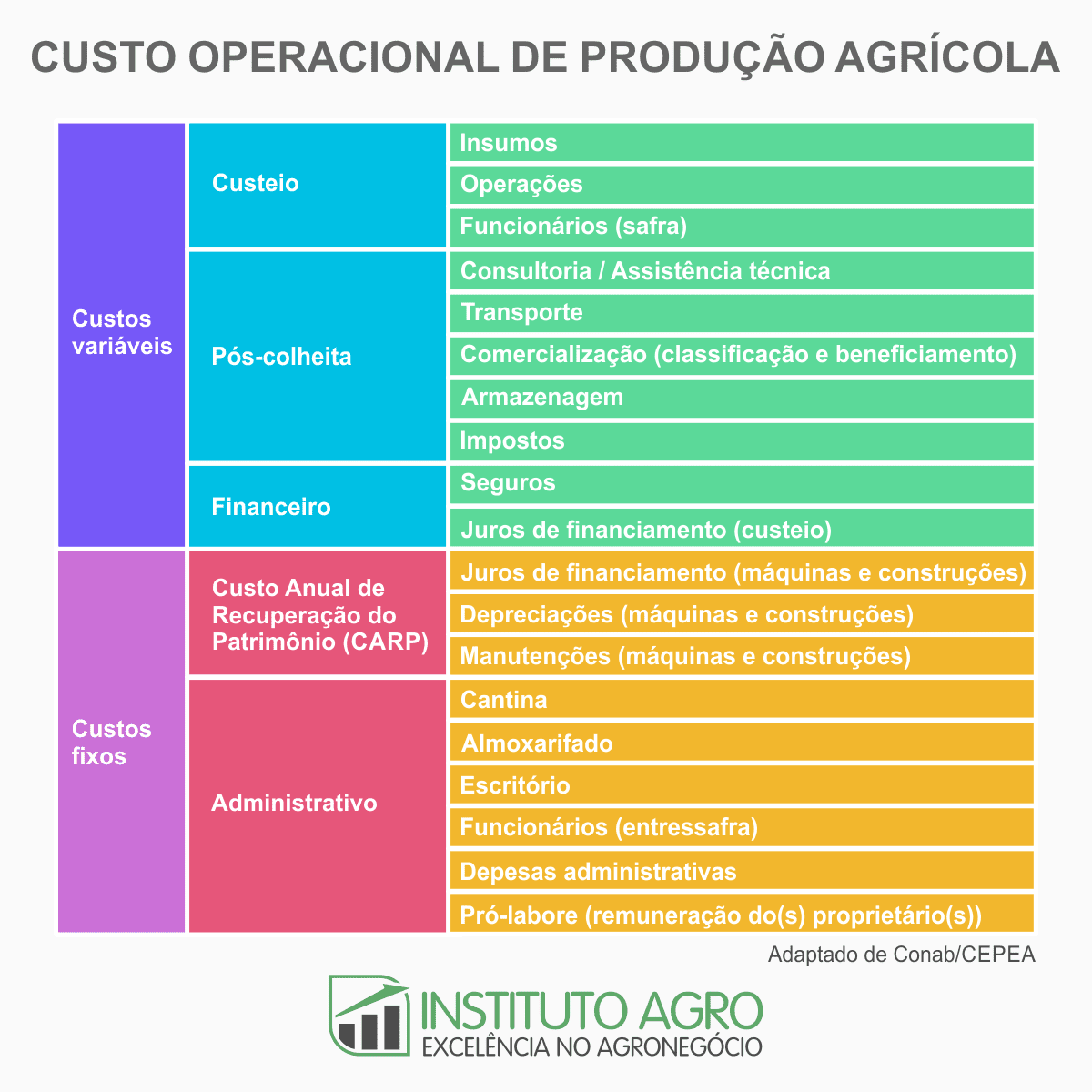 Custos de Produção Agrícola: Fixos e Variáveis infográfico detalhado que estrutura o ‘Custo Operacional de Produção Agrícola’. Ele é dividido em duas
