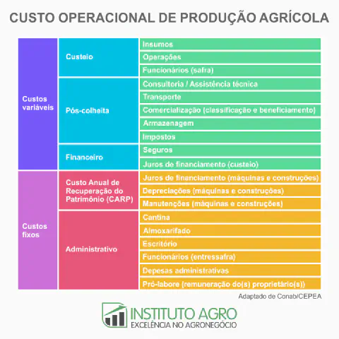infográfico detalhado que estrutura o 'Custo Operacional de Produção Agrícola'. Ele é dividido em duas