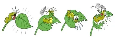 ilustração em estilo cartoon, dividida em quatro quadros sequenciais, que retrata uma lagarta verde e amarela