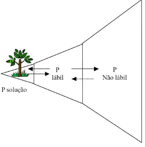 diagrama esquemático que ilustra a dinâmica do fósforo (P) no solo e sua disponibilidade para as plantas. A rep