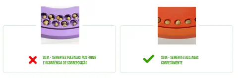 infográfico comparativo que ilustra a maneira correta e incorreta de alojar sementes de soja em um disco de pla