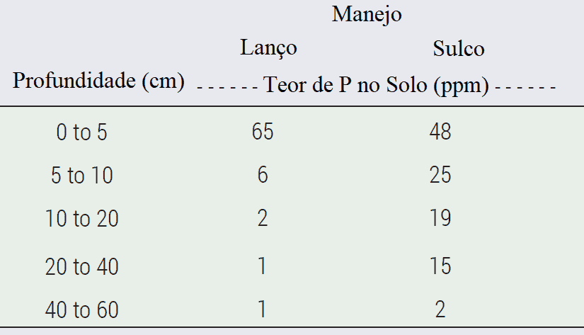 Distribuição de Fósforo no Solo: Lanço vs. Sulco uma tabela comparativa que analisa o teor de fósforo (P) no solo, medido em partes por milhão (ppm), em difere