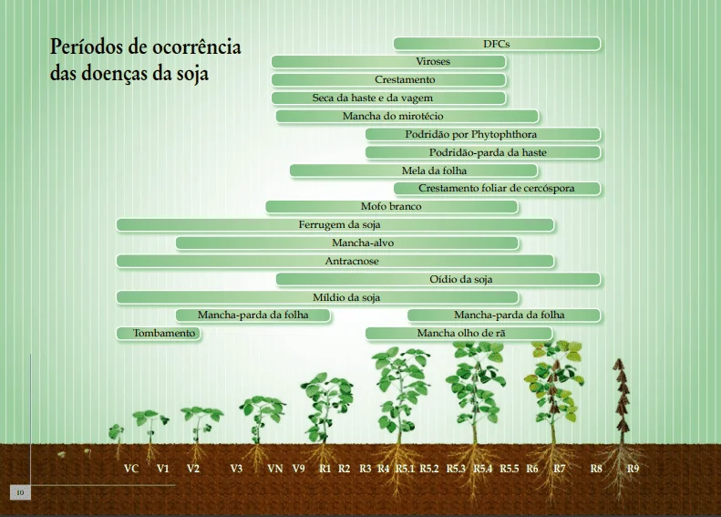 infográfico detalhado que ilustra os períodos de ocorrência das principais doenças que afetam a cultura da soja