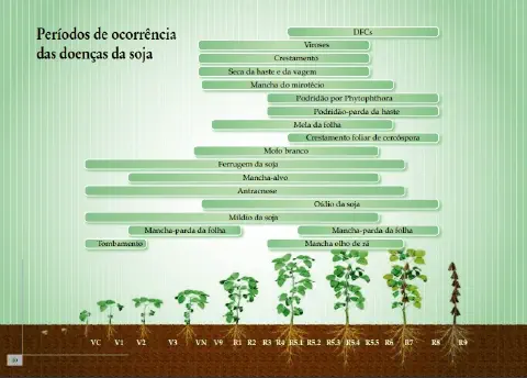 infográfico detalhado que ilustra os períodos de ocorrência das principais doenças que afetam a cultura da soja