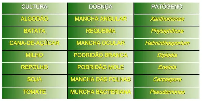 Doenças e Patógenos de Culturas Agrícolas: Guia Rápido tabela informativa com um fundo em gradiente de verde, organizada em três colunas e sete linhas. As co