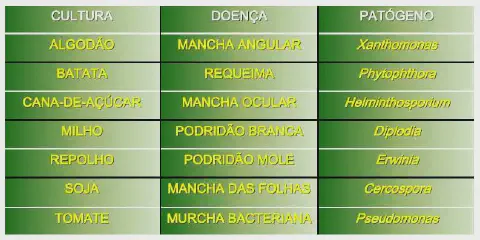 tabela informativa com um fundo em gradiente de verde, organizada em três colunas e sete linhas. As co