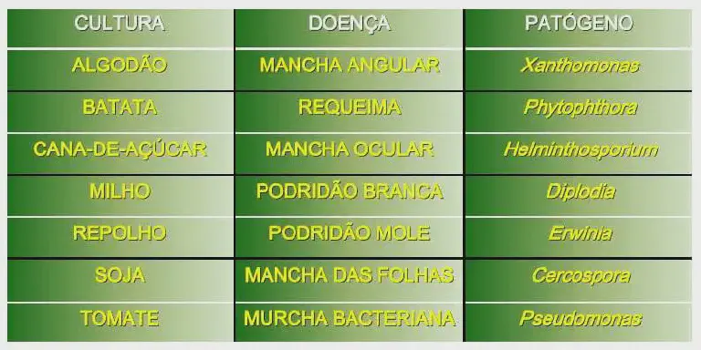 tabela informativa com um fundo em gradiente de verde, organizada em três colunas e sete linhas. As co