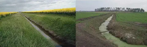 composição de duas fotografias que ilustram valas de drenagem em diferentes cenários agrícolas. À esquerda, um