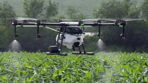 drone agrícola de grande porte, um octocóptero, em plena operação sobre uma lavoura de milho. O equipamento