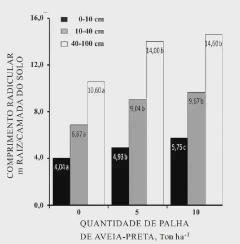Este gráfico de barras ilustra os resultados de um estudo sobre o impacto da quantidade de palha de aveia-preta na superfície