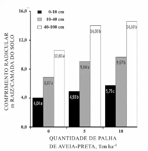 Este gráfico de barras ilustra os resultados de um estudo sobre o impacto da quantidade de palha de aveia-preta na superfície
