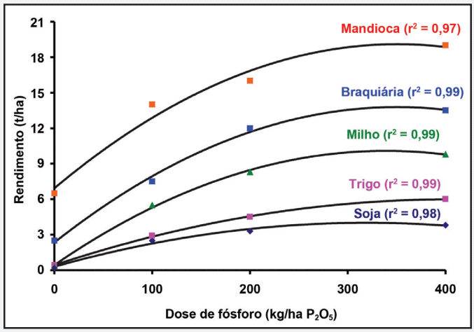 Efeito do Fósforo no Rendimento de Culturas Agrícolas gráfico de dispersão com curvas de tendência que ilustra a relação entre a dose de fósforo (P₂O₅) aplicada