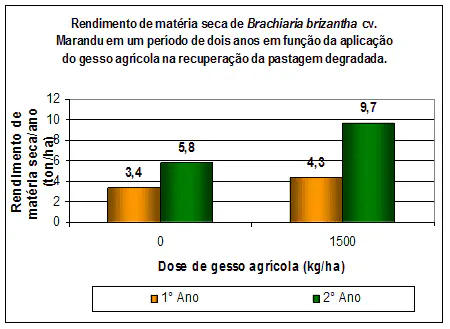 gráfico de barras comparando o rendimento de matéria seca da forrageira *Brachiaria brizantha* cv. Marandu,