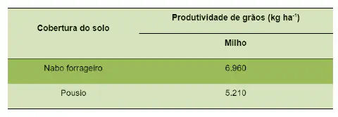 tabela comparativa que demonstra o impacto de diferentes práticas de manejo do solo na produtividade d