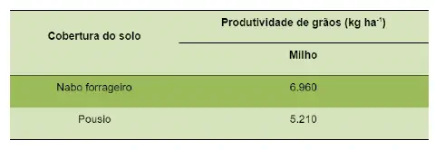 tabela comparativa que demonstra o impacto de diferentes práticas de manejo do solo na produtividade d