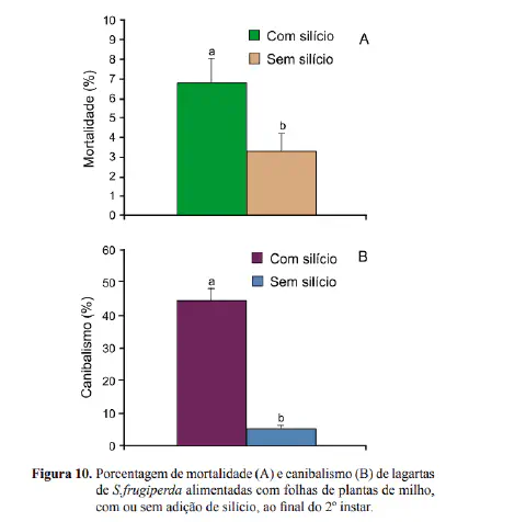 dois gráficos de barras que comparam os efeitos da adição de silício em plantas de milho sobre lagartas da esp