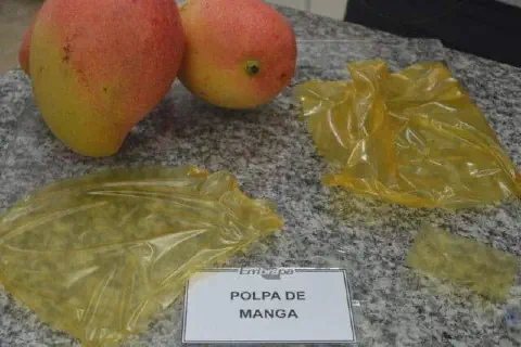 uma bancada de granito onde estão dispostas duas mangas frescas e um material inovador derivado da fruta. Em p