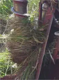 close-up de uma parte de um maquinário agrícola, possivelmente uma colheitadeira ou enfardadeira, com sua e