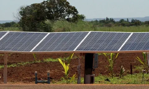 uma instalação de painéis solares em uma área rural, posicionados sobre uma lavoura em estágio inicial. A estr