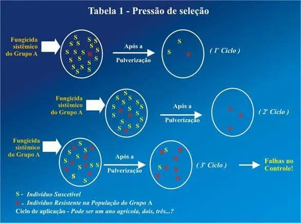 infográfico didático que ilustra o conceito de ‘pressão de seleção’ e o desenvolvimento de resistência a fungic