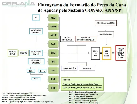 fluxograma detalhado que ilustra o processo de formação do preço da cana-de-açúcar, conforme o sistema