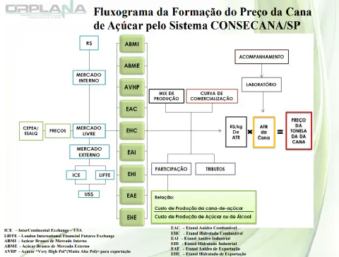 fluxograma detalhado que ilustra o processo de formação do preço da cana-de-açúcar, conforme o sistema