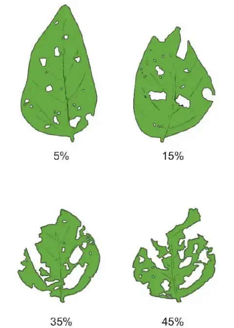 Escala visual com diferentes porcentagens de desfolha em folhas de soja, variando de 0% a 100%, para auxiliar na avaliação de danos por pragas