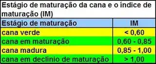 uma tabela didática que classifica os estágios de maturação da cana-de-açúcar com base no Índice de Maturação