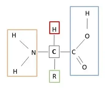 diagrama esquemático da estrutura molecular geral de um aminoácido, o monômero fundamental das proteínas. N