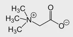 a estrutura química da betaína, especificamente a glicina betaína, um composto orgânico de grande relevância n