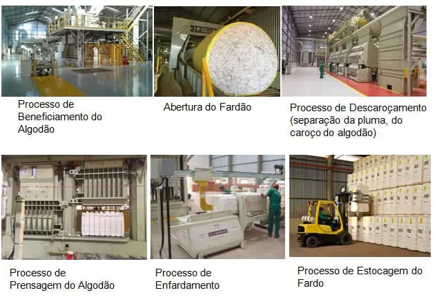 colagem de seis fotografias que detalham as etapas do processo de beneficiamento do algodão em uma usina ou al