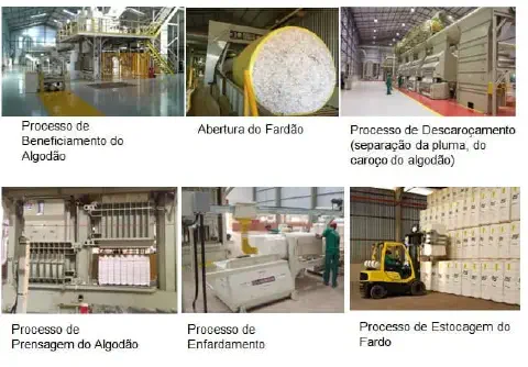 colagem de seis fotografias que detalham as etapas do processo de beneficiamento do algodão em uma usina ou al