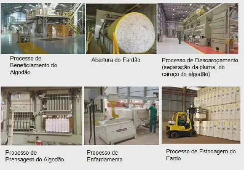 colagem de seis fotografias que detalham as etapas do processo de beneficiamento do algodão em uma usina ou al
