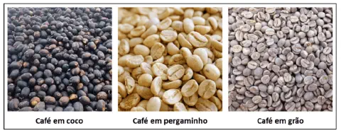 comparativo visual das três principais etapas do beneficiamento do café após a colheita e secagem. Da e