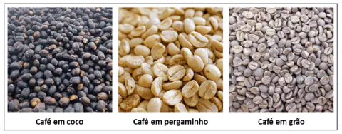 comparativo visual das três principais etapas do beneficiamento do café após a colheita e secagem. Da e