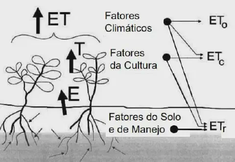 diagrama técnico que ilustra o conceito de evapotranspiração (ET) na agricultura. Do lado esquerdo, mostra plan