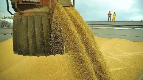 operação logística de grande escala no agronegócio, mostrando o carregamento de grãos, possivelmente soj